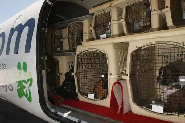 Animal & Veterinary Inspections